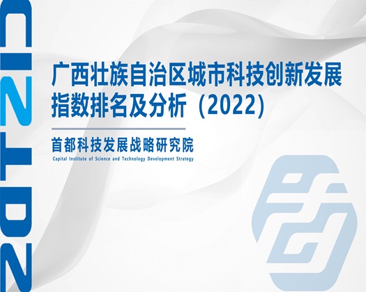 干逼网站免费观看【成果发布】广西壮族自治区城市科技创新发展指数排名及分析（2022）